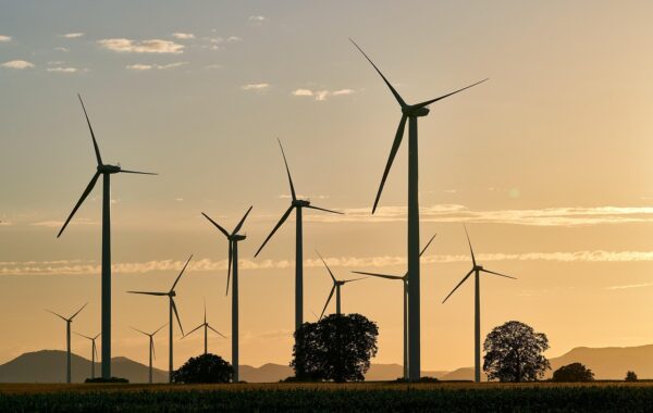 What Is the Circular Economy? A Complete Guide