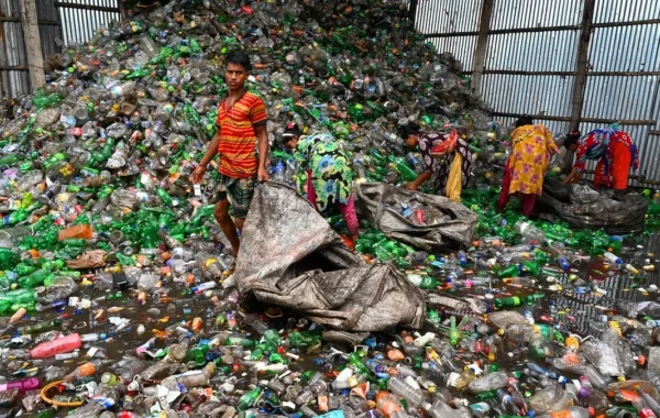 Plastic Recycling: The Complete Guide to Processes, Rates and the Future in Europe